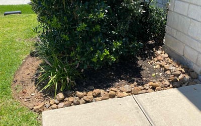 Photo of Zachary S.'s yard after getting tree care in Texas City, TX