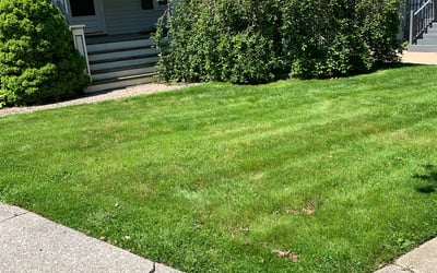 Photo of Terri C.'s yard after getting landscaping in Columbia Station, OH