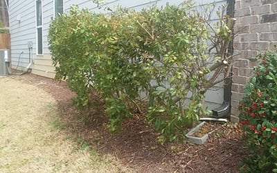 Photo of Tom H.'s yard after getting landscaping in Shady Dale, GA