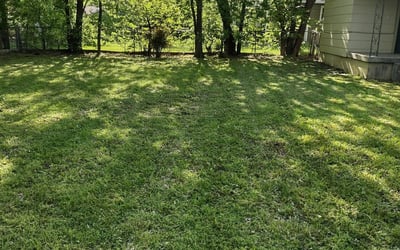 Photo of Jennifer T.'s yard after getting landscaping in Boyd, TX