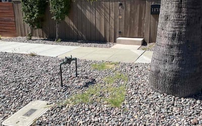Photo of Michael F.'s yard after getting landscaping in Jacumba, CA