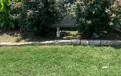 Photo of Michael O.'s yard after getting landscaping in Garland, TX
