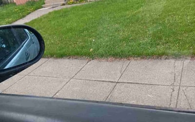 Photo of Marilyn R.'s yard after getting landscaping in Veradale, WA
