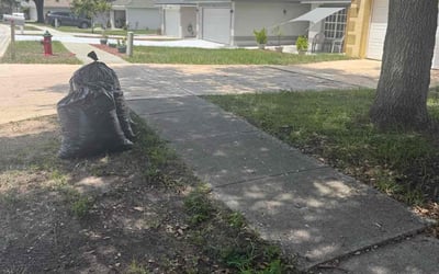 Photo of Miranda T.'s yard after getting landscaping in Clermont, FL
