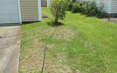 Photo of Derek C.'s yard after getting landscaping in Bonneau, SC