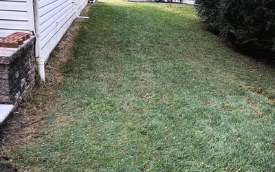 Photo of Kelvin D.'s yard after getting landscaping in Sparrows Point, MD