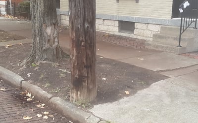 Photo of Mary R.'s yard after getting landscaping in Galena, OH