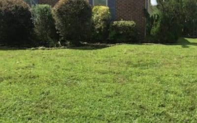 Photo of Chris S.'s yard after getting landscaping in Barco, NC