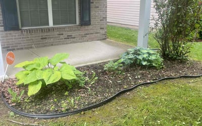 Photo of Sarah A.'s yard after getting landscaping in Indianapolis, IN