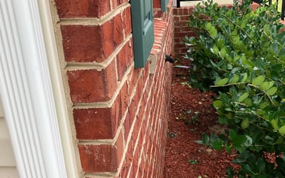 Photo of Eric C.'s yard after getting landscaping in Ordinary, VA