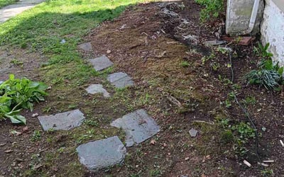 Photo of Charissa R.'s yard after getting tree care in Easton, PA