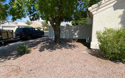 Photo of Ravi G.'s yard after getting tree care in Phoenix, AZ