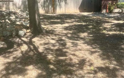 Photo of Anthony F.'s yard after getting landscaping in Pandora, TX
