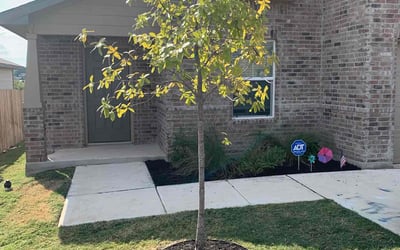Photo of Mary G.'s yard after getting landscaping in Rio Medina, TX