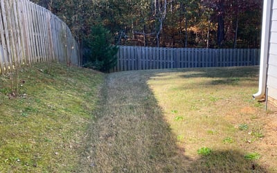 Photo of Carolyn C.'s yard after getting landscaping in North Augusta, SC