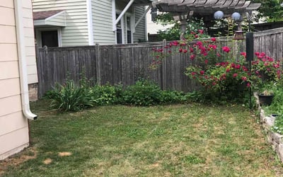 Photo of David R.'s yard after getting landscaping in Nashotah, WI