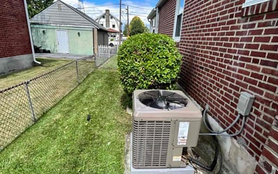 Photo of Carla S.'s yard after getting tree care in Harrisburg, PA