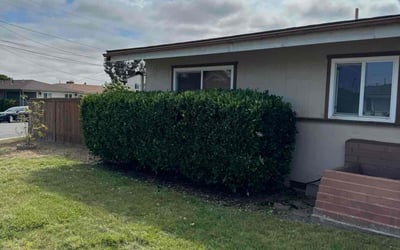 Photo of Ian T.'s yard after getting landscaping in Borrego Springs, CA
