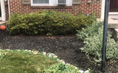 Photo of Jim_Carla A.'s yard after getting tree care in College Park, MD