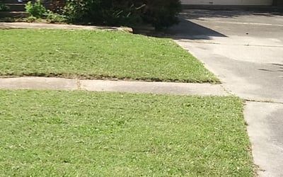Photo of Michael A.'s yard after getting landscaping in Owensboro, KY