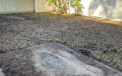 Photo of Gary W.'s yard after getting tree care in Debary, FL