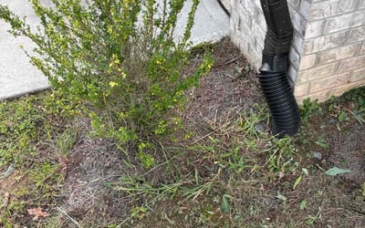 Photo of Tony T.'s yard after getting tree care in Acworth, GA