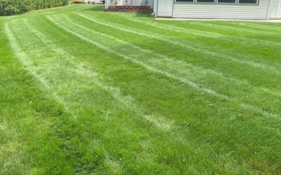 Photo of Sally G.'s yard after getting lawn care in Waukesha, WI