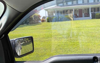 Photo of Rosa L.'s yard after getting tree care in Arlington, VA