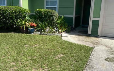 Photo of Jerry W.'s yard after getting tree care in Elkton, FL