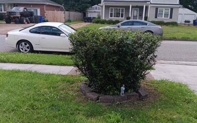 Photo of Mark C.'s yard after getting landscaping in Norfolk, VA
