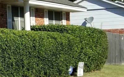 Photo of Scott Y.'s yard after getting landscaping in Skiatook, OK