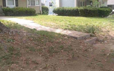 Photo of Trey M.'s yard after getting tree care in Liberty, MO