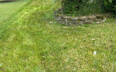 Photo of Jeffrey M.'s yard after getting landscaping in Lebanon, OH