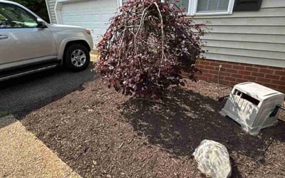 Photo of Jeff R.'s yard after getting landscaping in Mechanicsville, VA
