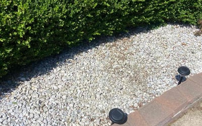 Photo of Allie B.'s yard after getting landscaping in Sterling Heights, MI