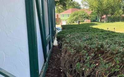 Photo of Samuel B.'s yard after getting landscaping in Lexington, MO