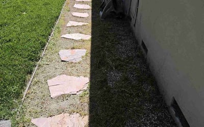 Photo of Frances S.'s yard after getting landscaping in Sloughhouse, CA