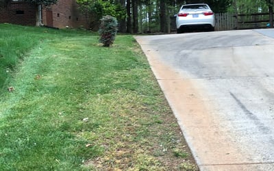 Photo of Kelly C.'s yard after getting landscaping in Rockwell, NC