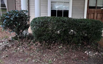 Photo of Ruthie F.'s yard after getting landscaping in Canton, MS