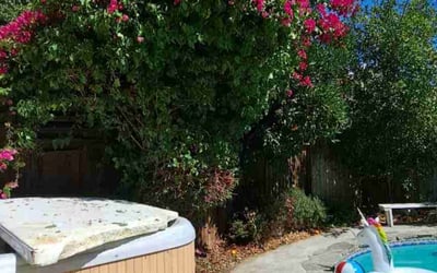 Photo of Karla M.'s yard after getting landscaping in Bakersfield, CA
