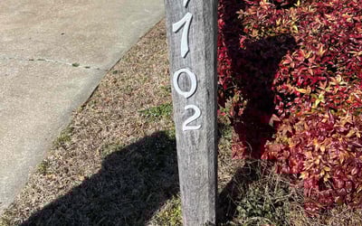 Photo of Joyce W.'s yard after getting landscaping in Trinity, NC