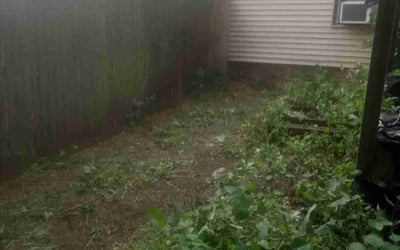 Photo of James D.'s yard after getting landscaping in Lodi, WI