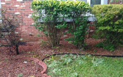 Photo of Cody P.'s yard after getting landscaping in Pittsboro, IN