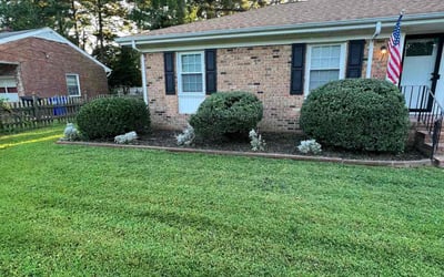Photo of Joseph B.'s yard after getting landscaping in Woods Cross Roads, VA