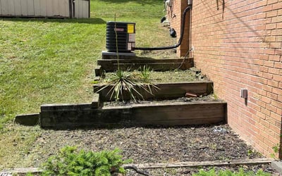 Photo of Tina W.'s yard after getting landscaping in Temple Hills, MD