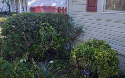 Photo of Michael S.'s yard after getting landscaping in Millersport, OH