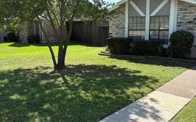 Photo of Shirley W.'s yard after getting landscaping in Mesquite, TX