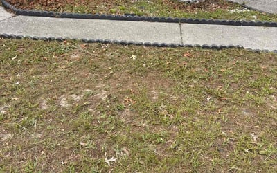 Photo of Mark E.'s yard after getting landscaping in Spring Hill, FL