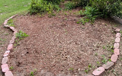 Photo of Cassandra J.'s yard after getting tree care in Monticello, FL