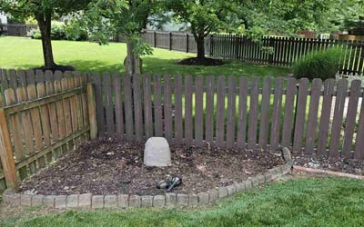 Photo of Tonya B.'s yard after getting landscaping in Blacklick, OH
